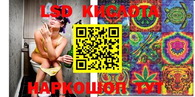 шишки Нарткала